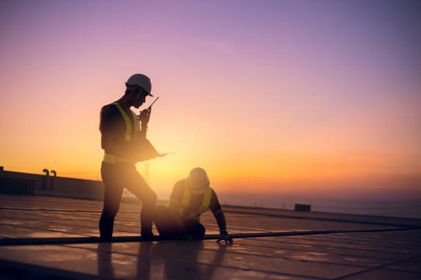 Best Roof Gutter Cleaning  in Ricardo, TX