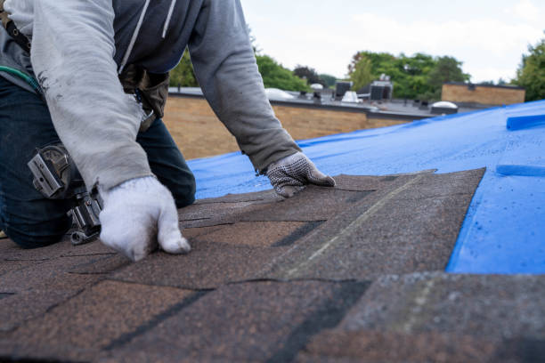 Best Best Roofing Contractors  in Ricardo, TX